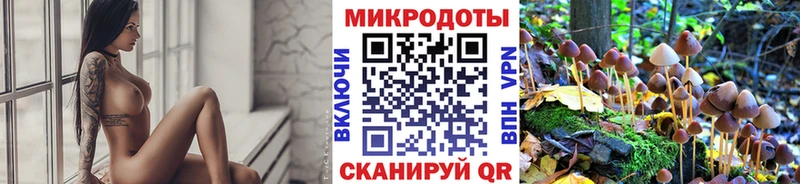 Псилоцибиновые грибы Magic Shrooms  Сыктывкар 