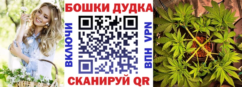 Бошки марихуана MAZAR где продают наркотики Сыктывкар